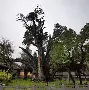 嵩山黑豹队对阵东城鲸鲨队，拉力赛超级杯守住胜果，细节决定成败——细节处理更胜一筹(超级赛场山东体育频道)